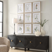 Uttermost 32339 Botanical Flowers Framed Prints Set/9