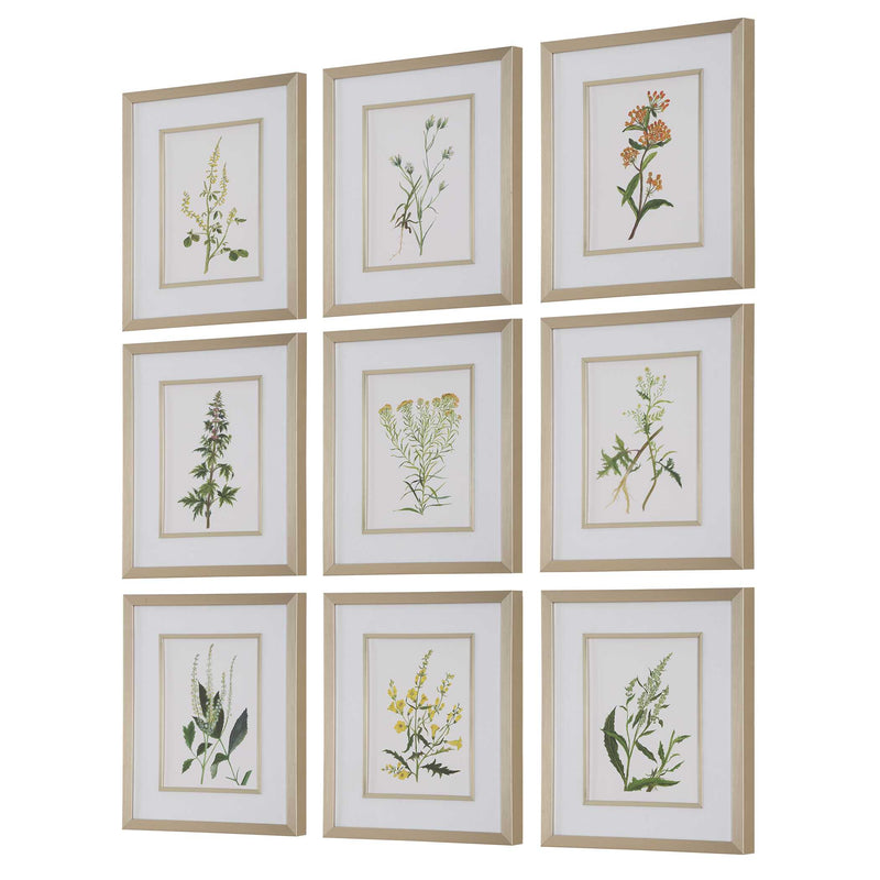 Uttermost 32339 Botanical Flowers Framed Prints Set/9