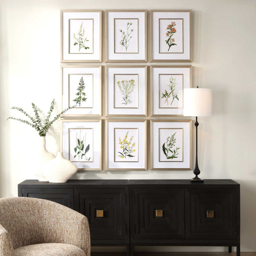 Uttermost 32339 Botanical Flowers Framed Prints Set/9