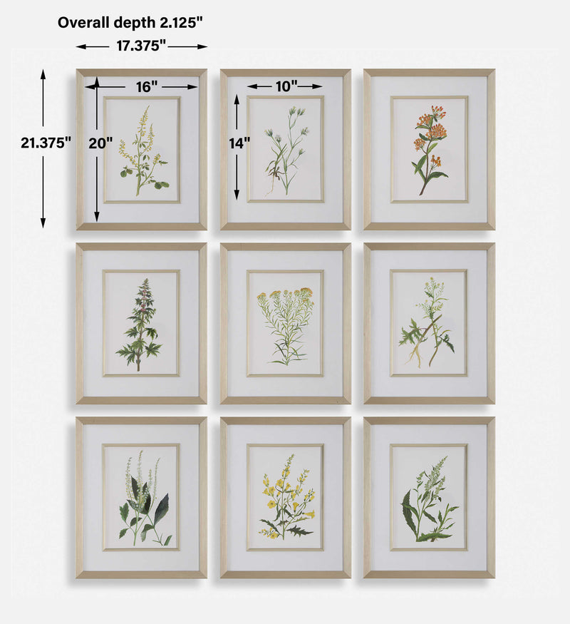Uttermost 32339 Botanical Flowers Framed Prints Set/9