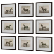 Uttermost 32343 Equine Dynasty Framed Prints Set/9