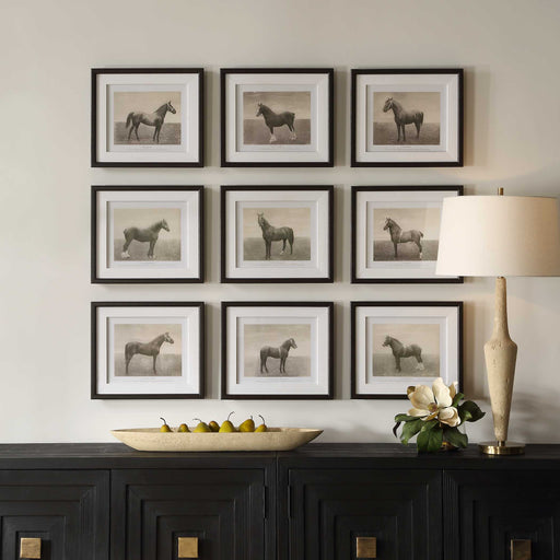 Uttermost 32343 Equine Dynasty Framed Prints Set/9