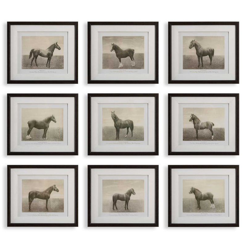 Uttermost 32343 Equine Dynasty Framed Prints Set/9
