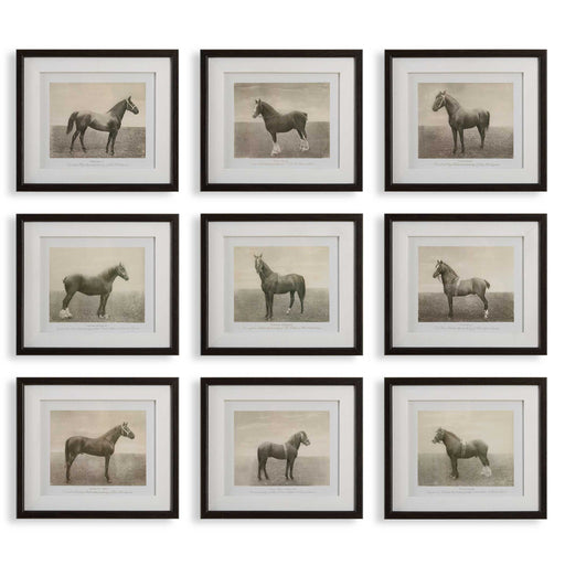 Uttermost 32343 Equine Dynasty Framed Prints Set/9