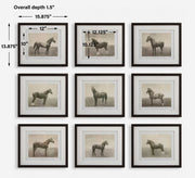 Uttermost 32343 Equine Dynasty Framed Prints Set/9