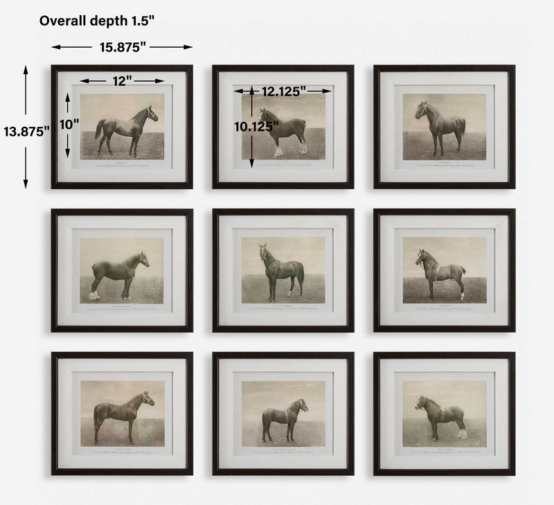 Uttermost 32343 Equine Dynasty Framed Prints Set/9
