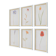Uttermost 32384 Wild Flourish Framed Floral Prints Set/6