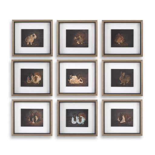 Uttermost 32386 Resting Bunny Framed Prints Set/9