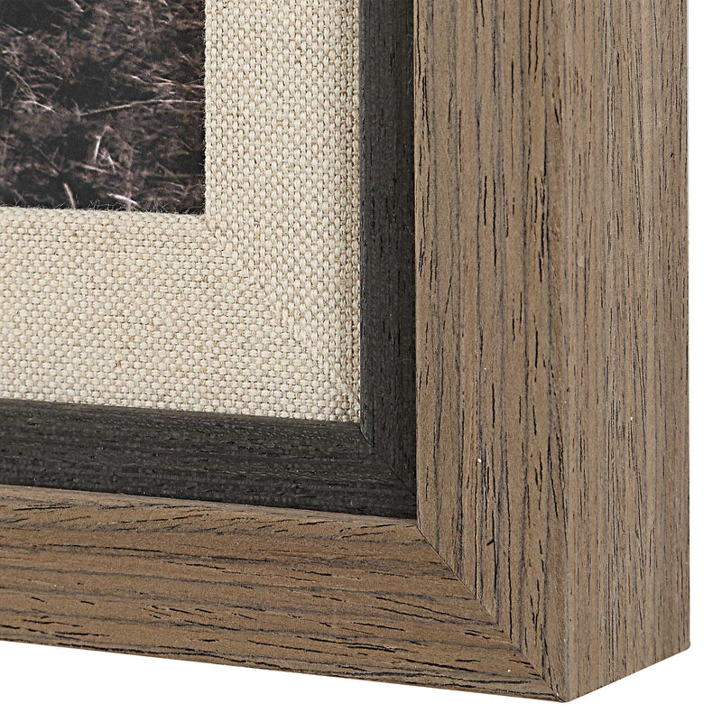 Uttermost 32391 King Of The Hill Framed Bovine Print