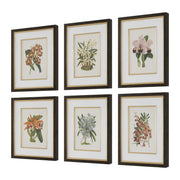 Uttermost 32447 Orchid Botanical Framed Prints Set/6