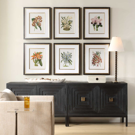 Uttermost 32447 Orchid Botanical Framed Prints Set/6
