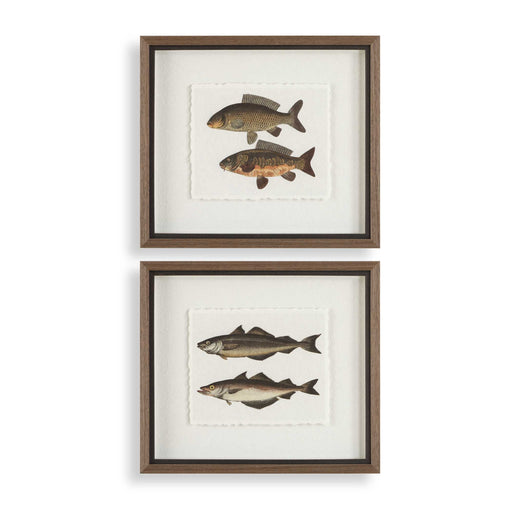 Uttermost 32448 The Catch Framed Fish Prints Set/2