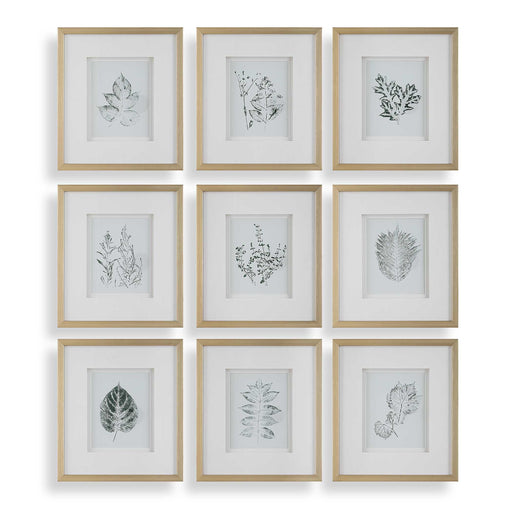Uttermost 32449 Nature's Script Framed Botanical Prints Set/9