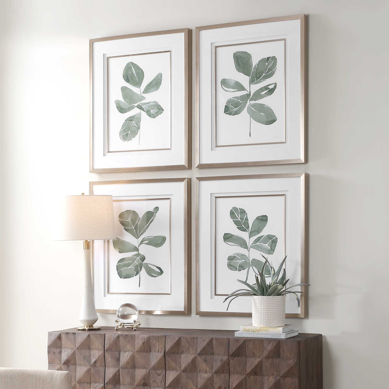 Uttermost 32454 Fiddle Head Leaf Botanical Prints Set/4