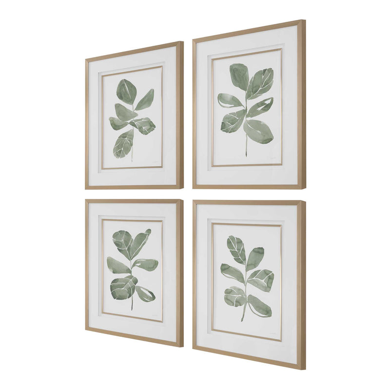 Uttermost 32454 Fiddle Head Leaf Botanical Prints Set/4