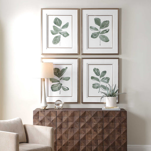 Uttermost 32454 Fiddle Head Leaf Botanical Prints Set/4