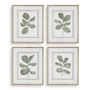 Uttermost 32454 Fiddle Head Leaf Botanical Prints Set/4