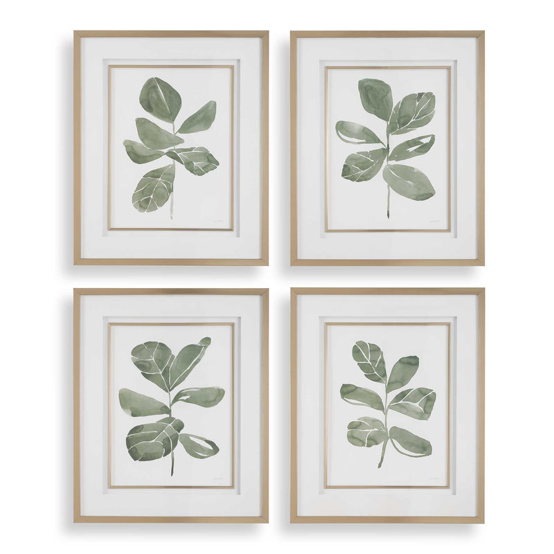 Uttermost 32454 Fiddle Head Leaf Botanical Prints Set/4