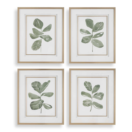 Uttermost 32454 Fiddle Head Leaf Botanical Prints Set/4
