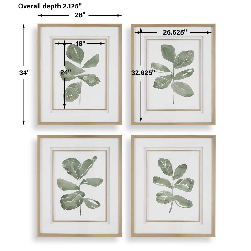 Uttermost 32454 Fiddle Head Leaf Botanical Prints Set/4