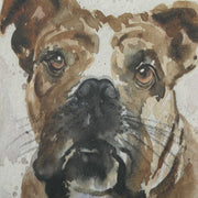Uttermost 32466 Dog Days Framed Prints Set/4