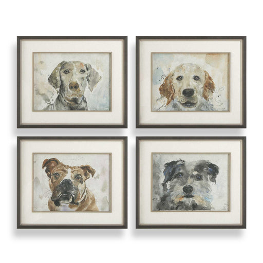 Uttermost 32466 Dog Days Framed Prints Set/4