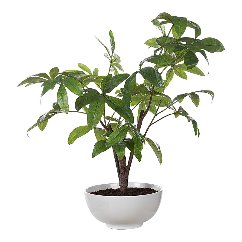 Uttermost 60225 Pachira Money Tree