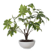 Uttermost 60225 Pachira Money Tree