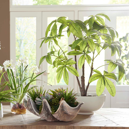 Uttermost 60225 Pachira Money Tree