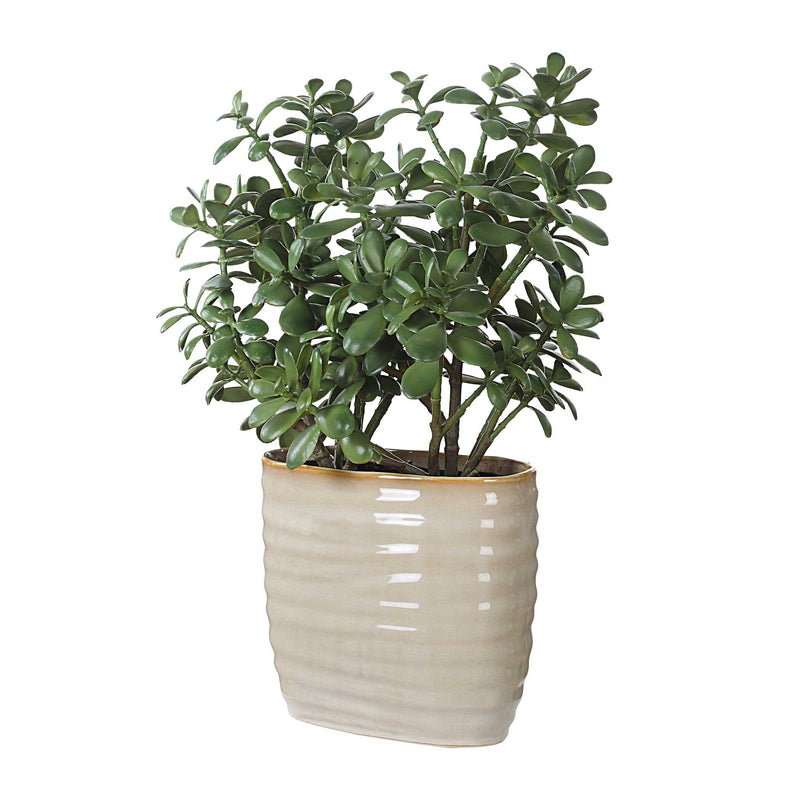 Uttermost 60226 Crassula Jade Accent Plant