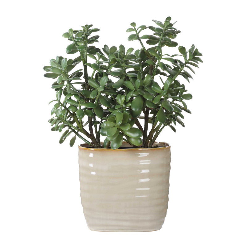Uttermost 60226 Crassula Jade Accent Plant