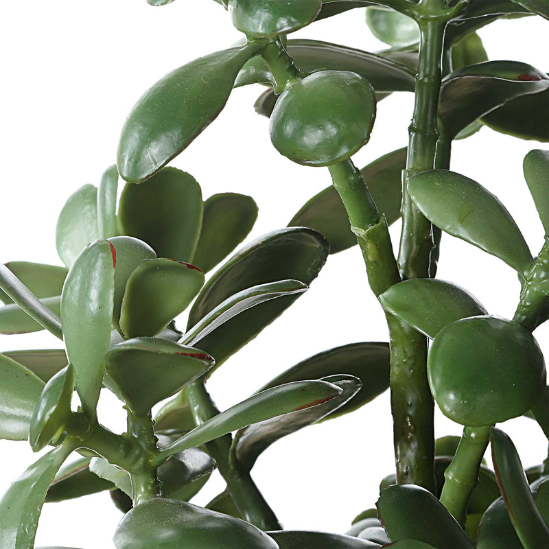 Uttermost 60226 Crassula Jade Accent Plant
