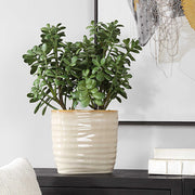 Uttermost 60226 Crassula Jade Accent Plant