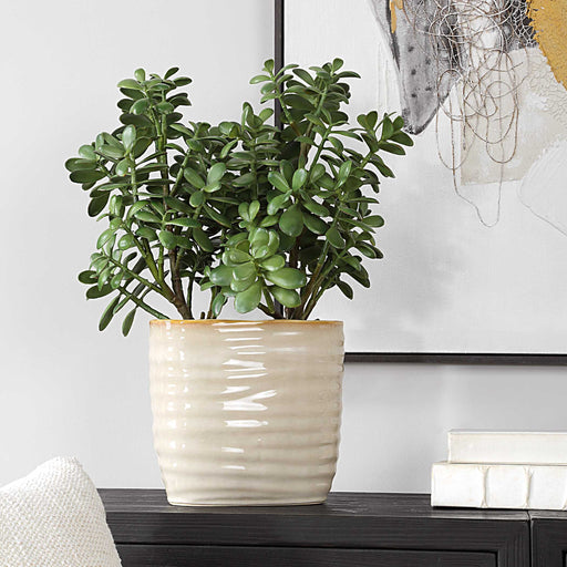 Uttermost 60226 Crassula Jade Accent Plant