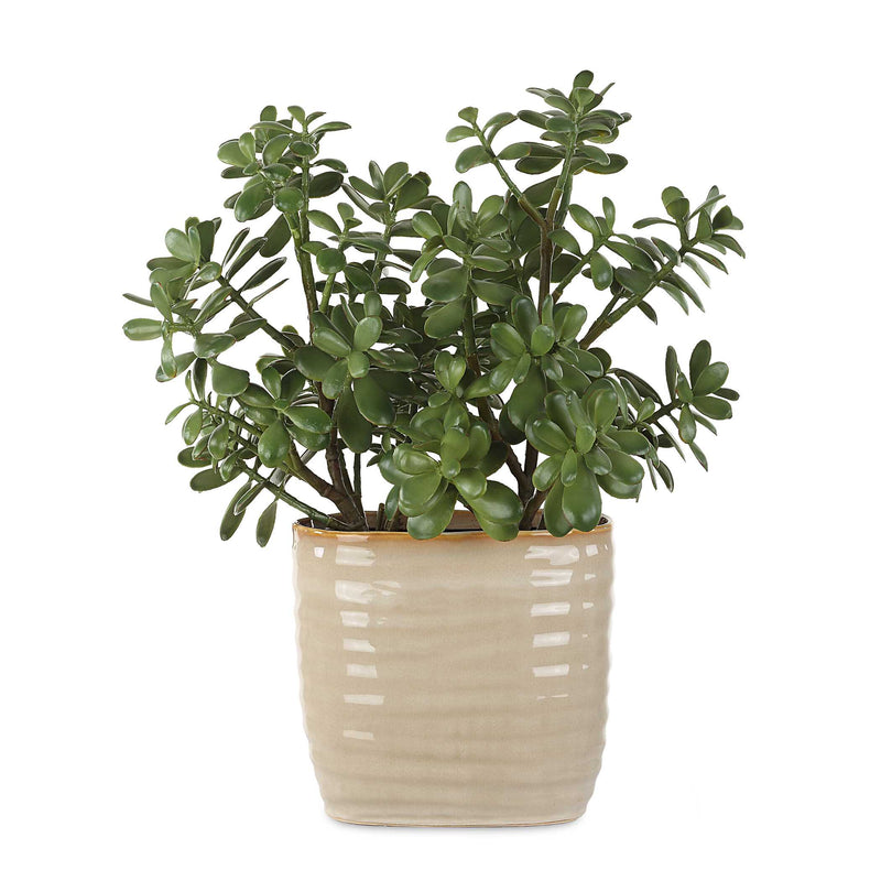 Uttermost 60226 Crassula Jade Accent Plant