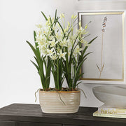 Uttermost 60227 Ariana Orchid Planter