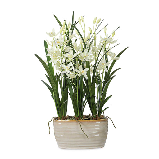 Uttermost 60227 Ariana Orchid Planter