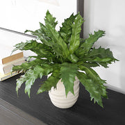 Uttermost 60229 Verdure Fern In Glazed Pot