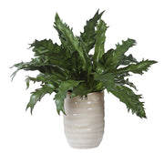 Uttermost 60229 Verdure Fern In Glazed Pot