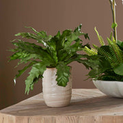 Uttermost 60229 Verdure Fern In Glazed Pot