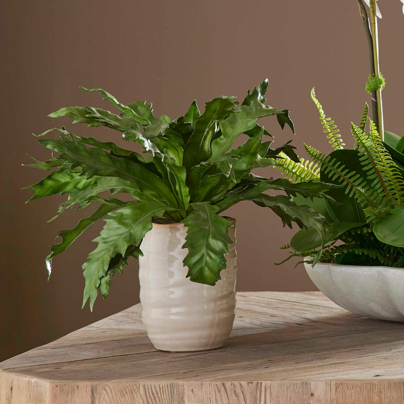 Uttermost 60229 Verdure Fern In Glazed Pot