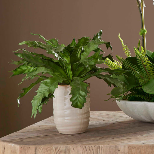 Uttermost 60229 Verdure Fern In Glazed Pot
