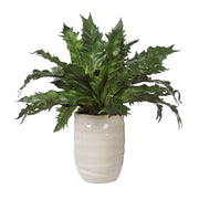 Uttermost 60229 Verdure Fern In Glazed Pot