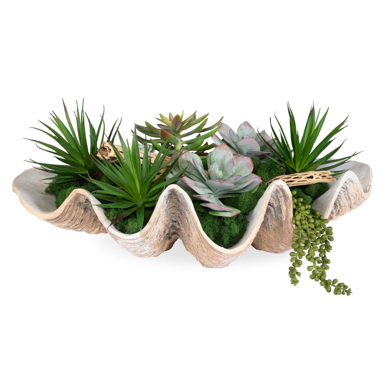 succulents free shipping Uttermost 60233 Seaside Breeze Succulents