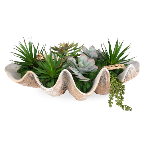 Uttermost 60233 Seaside Breeze Succulents