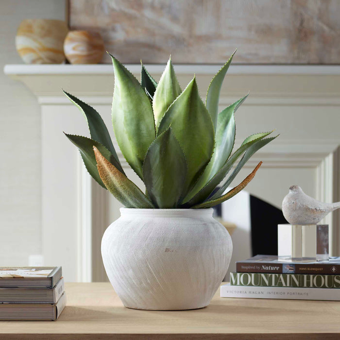 Uttermost 60235 Tierra Agave Centerpiece With Vase