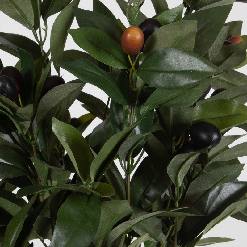 Uttermost 60236 Elena Olive Centerpiece