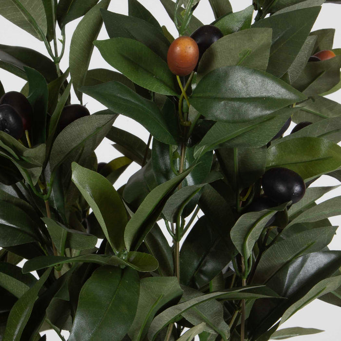 Uttermost 60236 Elena Olive Centerpiece