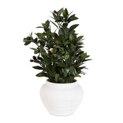 Uttermost 60236 Elena Olive Centerpiece