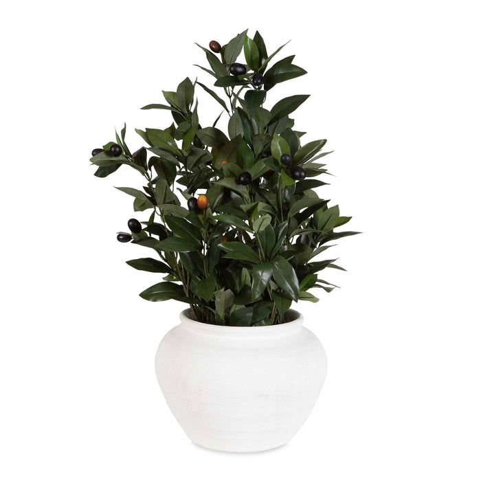 Uttermost 60236 Elena Olive Centerpiece